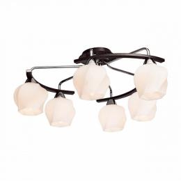 Изображение продукта Потолочная люстра Silver Light Aranda 